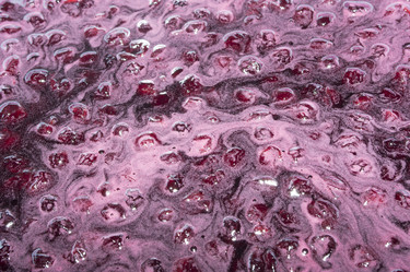 Similar image 21683461