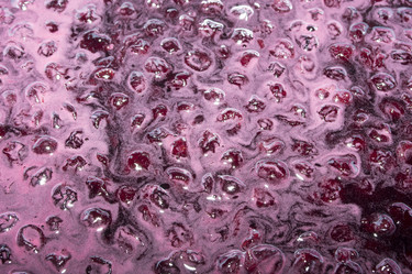 Similar image 21683465