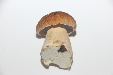 Similar image 21683299