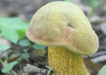 Similar image 21683300