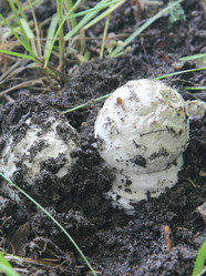 Similar image 21683302