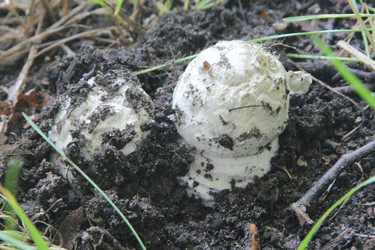 Similar image 21683303