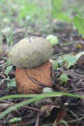 Similar image 21683304