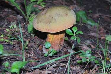 Similar image 21683308