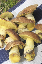 Similar image 21683309