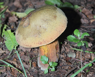 Similar image 21683311