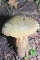 Similar image 21683312