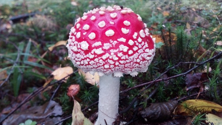 Similar image 21683313