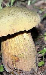 Similar image 21683314