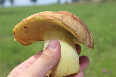 Similar image 21683316