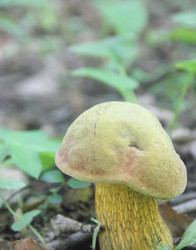 Similar image 21683317