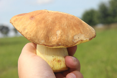 Similar image 21683319