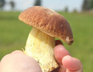 Similar image 21683320