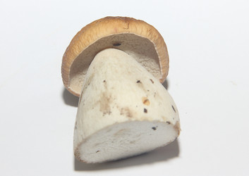 Similar image 21683321