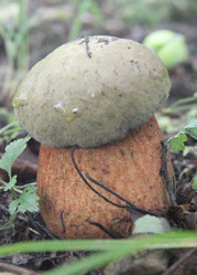 Similar image 21683322