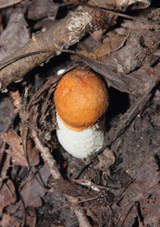 Similar image 21683323