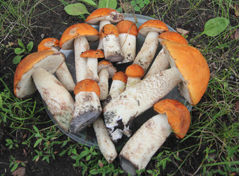 Similar image 21683324