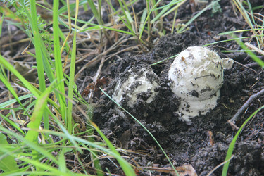 Similar image 21683325