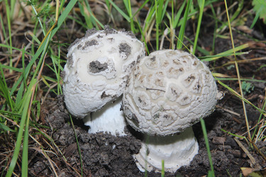 Similar image 21683327