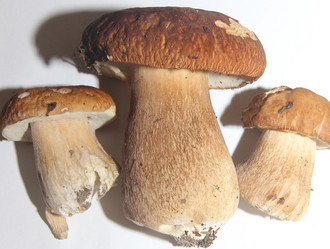 Similar image 21683329