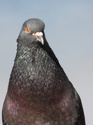 Similar image 21683333