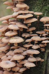 Similar image 21683334