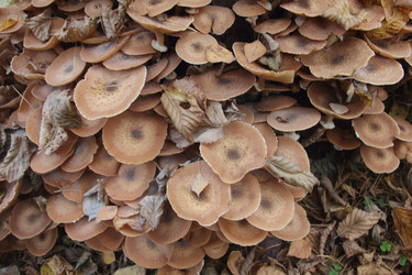 Similar image 21683336