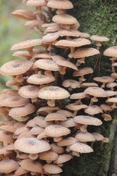 Similar image 21683339