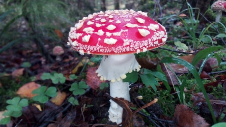 Similar image 21683340