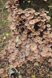 Similar image 21683343