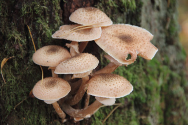 Similar image 21683472