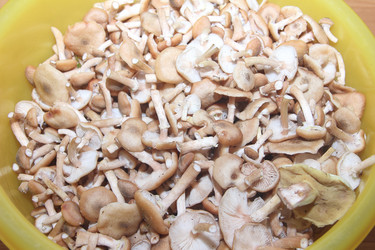 Similar image 21683473