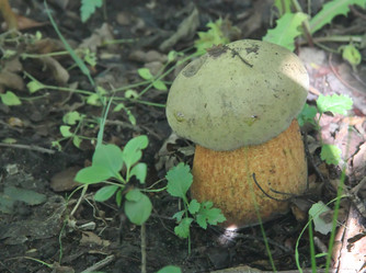 Similar image 21683474