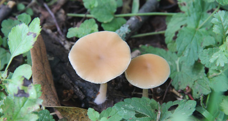 Similar image 21683475