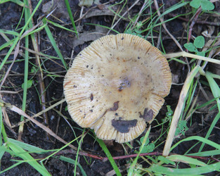 Similar image 21683476