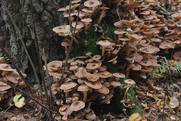 Similar image 21683477