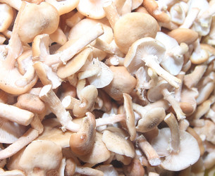 Similar image 21683480