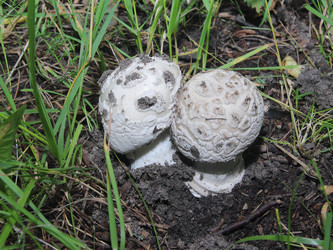 Similar image 21683481