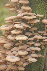 Similar image 21683482