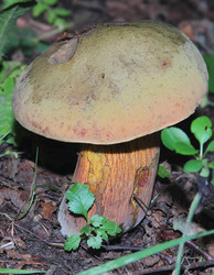 Similar image 21683483