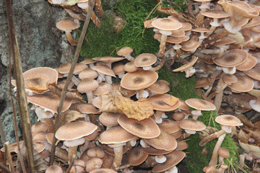 Similar image 21683484