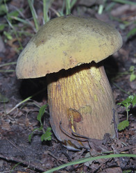 Similar image 21683487