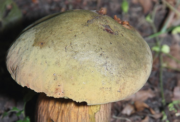 Similar image 21683489