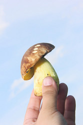 Similar image 21683492