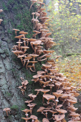 Similar image 21683493