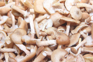 Similar image 21683495