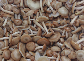 Similar image 21683497