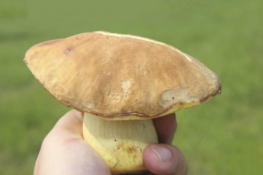 Similar image 21683498