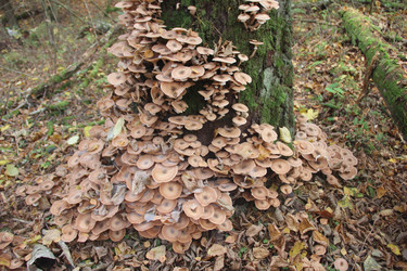 Similar image 21683545