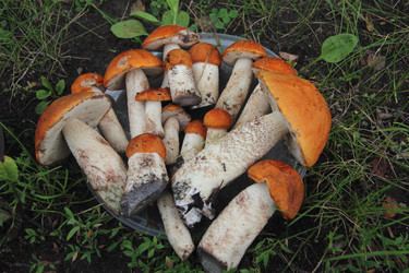 Similar image 21683549